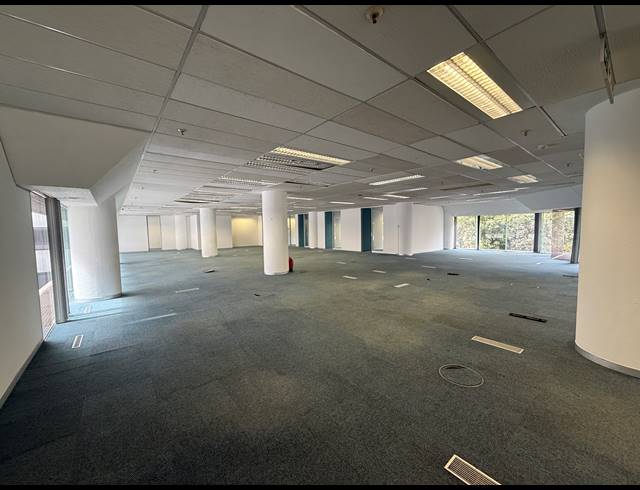 1,477M² OFFICE TO LET IN AUCKLAND PARK